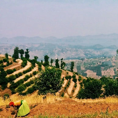 Rwanda_1.JPG